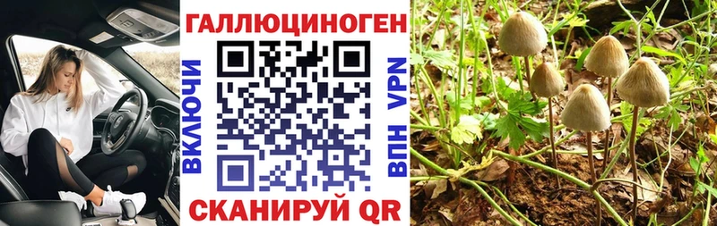 где купить наркоту  Короча  Галлюциногенные грибы Magic Shrooms 